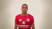 Robin Quaison GIF by 1. FSV Mainz 05