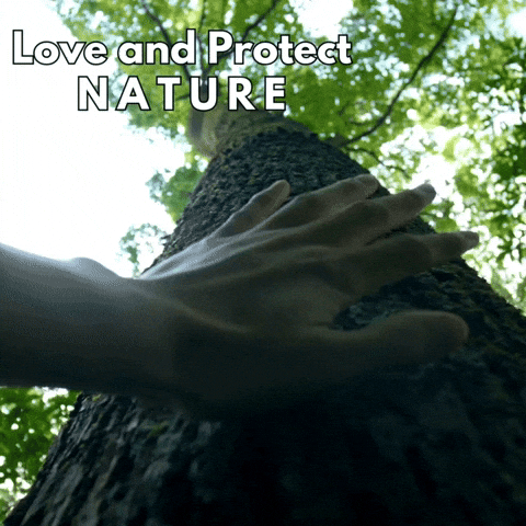 Tree Removal Service GIF by Oi