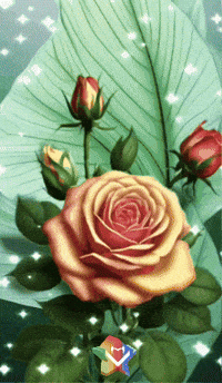 Familia Felicidad GIF by Murcianys LLC