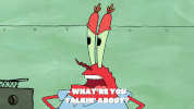 season 9 squid defense GIF by SpongeBob SquarePants