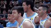 fiba basketball fiba fibawc GIF