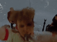 Butterfly Dreamland GIF by COIN