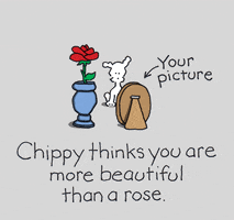 GIF by Chippy the Dog