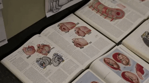 alexboya giphygifmaker alex alexboya boya GIF