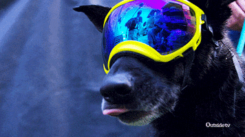 Happy Good Eats GIF by Outside TV