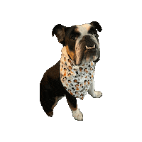 Bulldog Minnie Sticker by Geekster Pets
