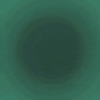 Marina Seguros GIF by Tokio Marine Seguradora