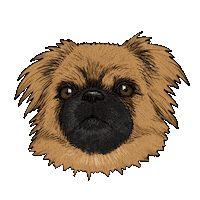 Dog Puppy Sticker