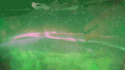 northern lights art GIF by BTBDesignNC