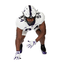 texas katy Sticker by TCU Football