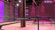 Bbau GIF by Big Brother Australia