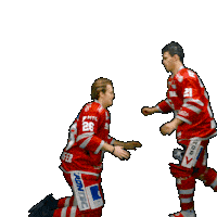 Hockey Del2 Sticker by Eisbären Regensburg