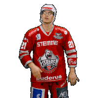 Hockey Del2 Sticker by Eisbären Regensburg