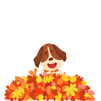 Autumn Leaves Dogs Sticker by Petland Florida