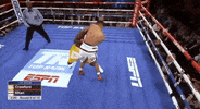 toprank boxing fighting espn fighters GIF