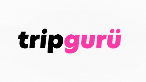 Tripguru giphygifmaker tripguru GIF