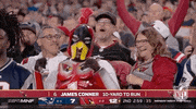 Arizona Cardinals Football GIF by NFL