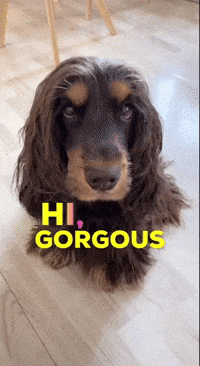 Pretty Girl GIF