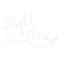 Ashlynnmg airplane aviation airlines flight attendant Sticker