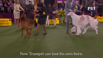 Trumpet Can Toot His Own Horn