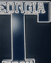 Georgia Tech Baseball GIF by Georgia Tech Yellow Jackets