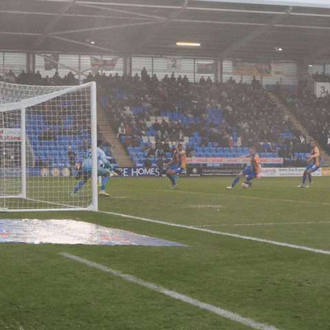 Goal GIF by Bolton Wanderers FC