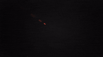 David Guetta GIF by Jason Derulo