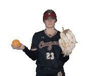 Cofcsoftball Sticker by #TheCollege