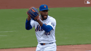 Sport Applause GIF by MLB