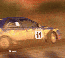 Motorsports Subaru GIF by FIA World Rally Championship