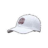 wearearbre summer hat merch sunscreen Sticker