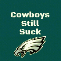 Dallas Cowboys Nfl GIF