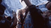 yankee stadium fans GIF by NYCFC