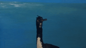 La Salle Art GIF by jorgemariozuleta