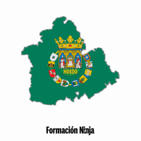 Flag Spain GIF by Formación Ninja