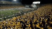College Football GIF by WVU Sports