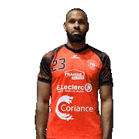 Sticker by Valence Handball