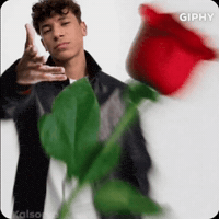 Take This Flower GIF
