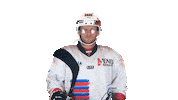 La Roche Sur Yon Vendee Sticker by Hockey Glace Yonnais