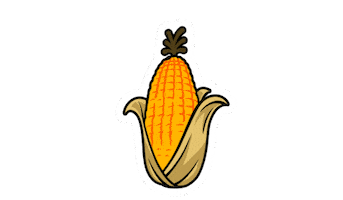 Corn Agronomy Sticker by LG Seeds