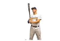 College Sports Fun Sticker by Delaware Blue Hens