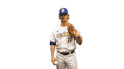 College Sports Baseball Sticker by Delaware Blue Hens