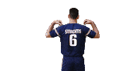 HellenicVolleyballFederation volleyballgr stivachtis Sticker