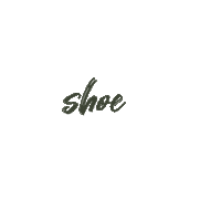 Shoes Boots Sticker by Nelson Schoenen