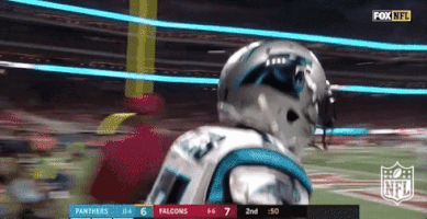 carolina panthers football GIF by NFL