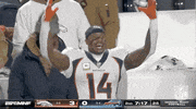 National Football League GIF by NFL