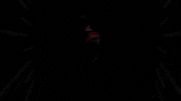 Germany Football GIF by Bundesliga