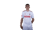 1 Fc Cologne Football Sticker by 1. FC Köln