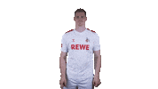 1 Fc Cologne Football Sticker by 1. FC Köln
