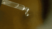 Melissa Mccarthy Wellness GIF by HULU